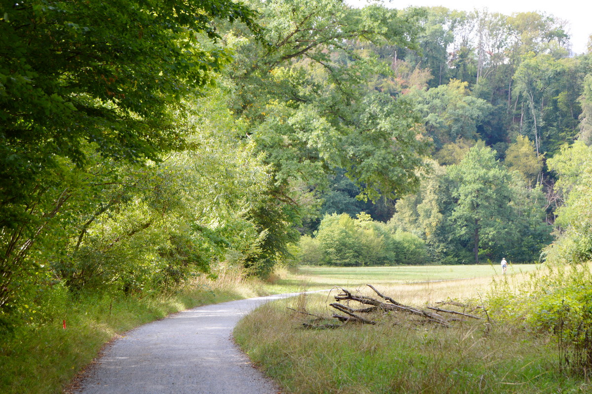 Защо създадох The Path of Myself?